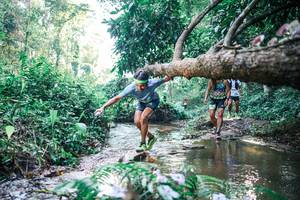 BIB: 
                            <button type="button" onclick="openModal(25436366)" class="btn btn-primary btn-sm float-right btn-popup" data-toggle="modal" data-target=".modal-high-quality">
                        <i class="fas fa-shopping-cart"></i> Add to Cart
                    </button>
                                            <button type="button" onclick="isThisMe(25436366, true)" class="btn btn-success btn-sm float-right btn-popup btn-isme hidden" data-toggle="tooltip" data-placement="bottom" title="นี่คือรูปของคุณใช่ไหม คลิกที่นี่เพื่อเอาเข้าอัลบั้ม">
                        <i class="fas fa-plus"></i> Add to album
                    </button>
                    <button type="button" onclick="isThisMe(25436366, false)" class="btn btn-warning btn-sm float-right btn-popup btn-isnotme hidden">
                        <i class="fas fa-ban"></i> Remove from album
                    </button>